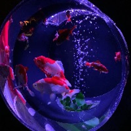 れい