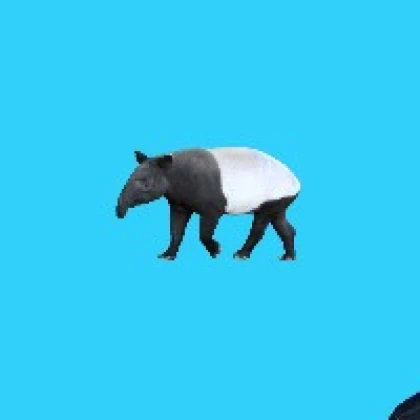 ヒト