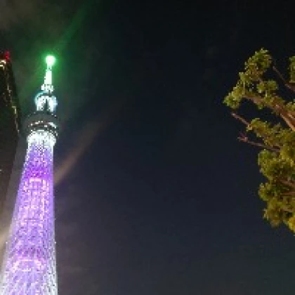 空色の仲間