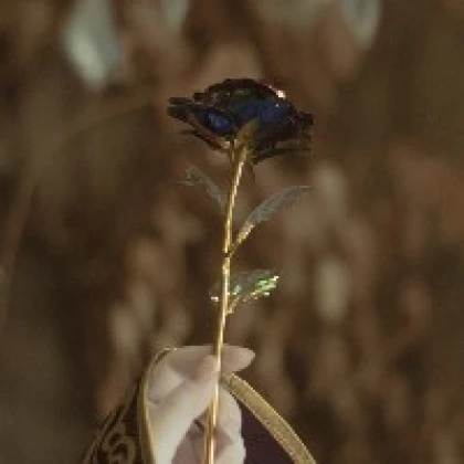 f