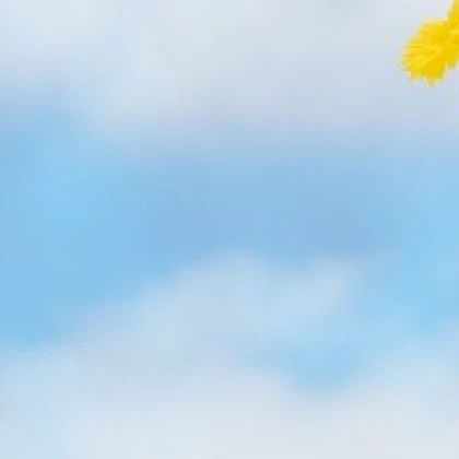 ましろ