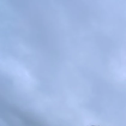 りんごのき