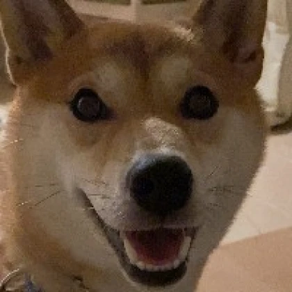 りさ