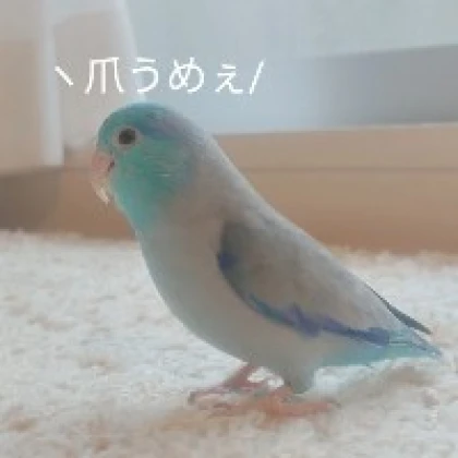 砕かれたい蟹