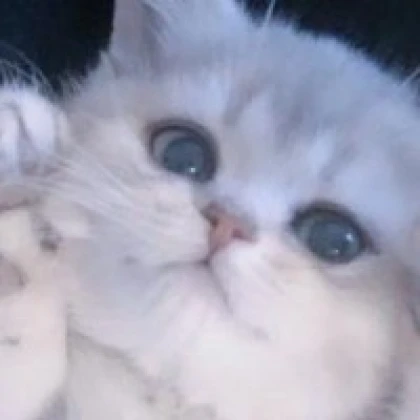 っちゃん