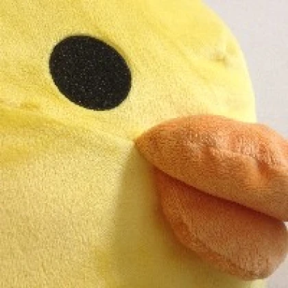 蓮彌