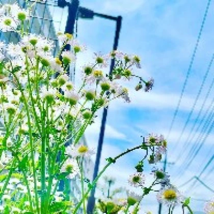 空天