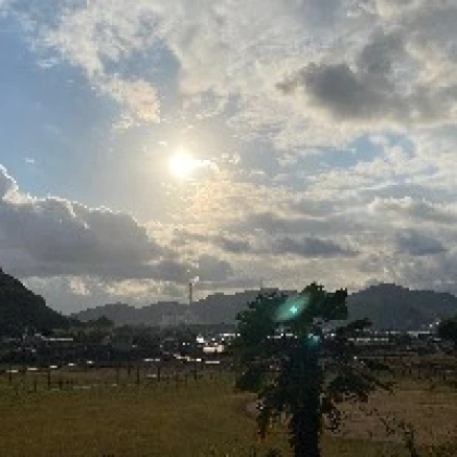 八田