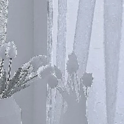 のの