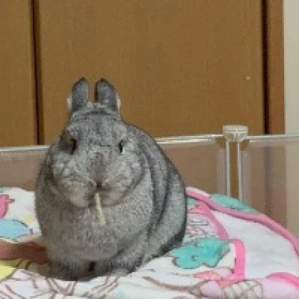深咲