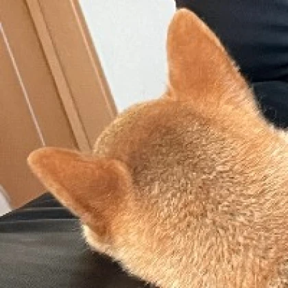 とか