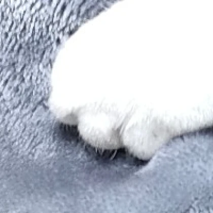 かおり