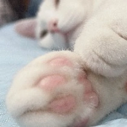 にゃにゃ