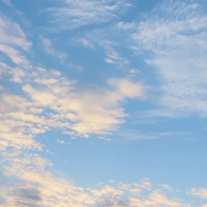 ささみ