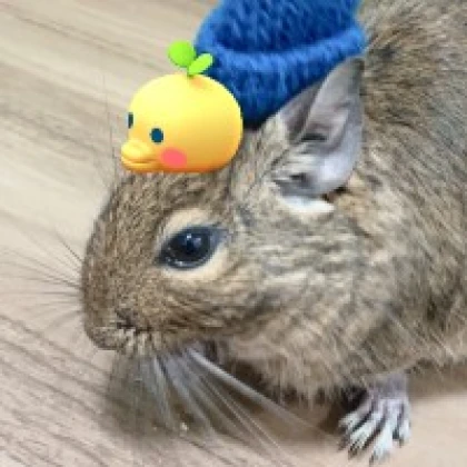 りぃ