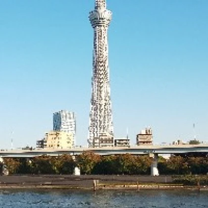 きのこ