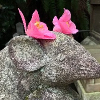 しゃめ