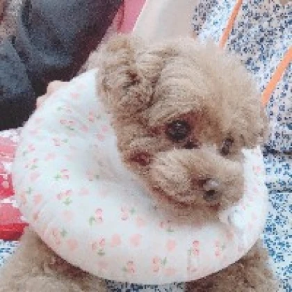 あーてぃん