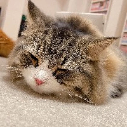 もえりん