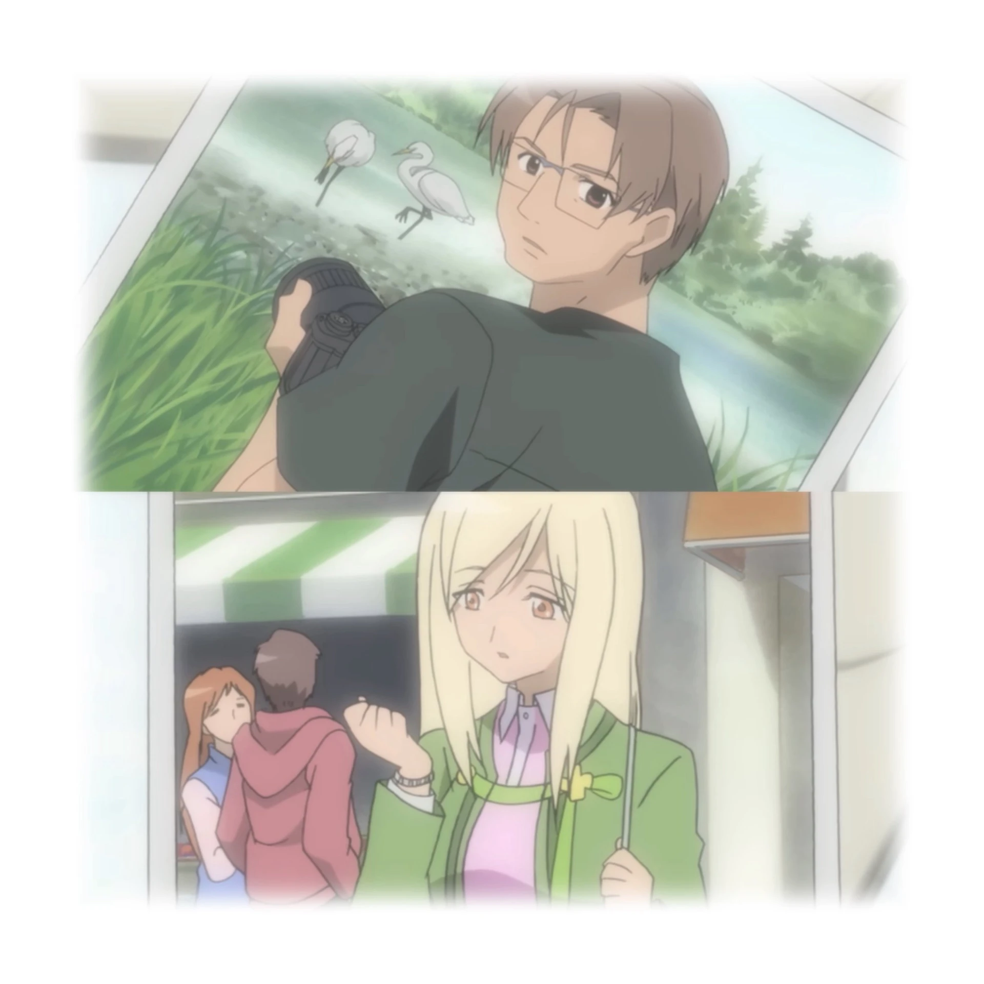 キム 補足画像 1