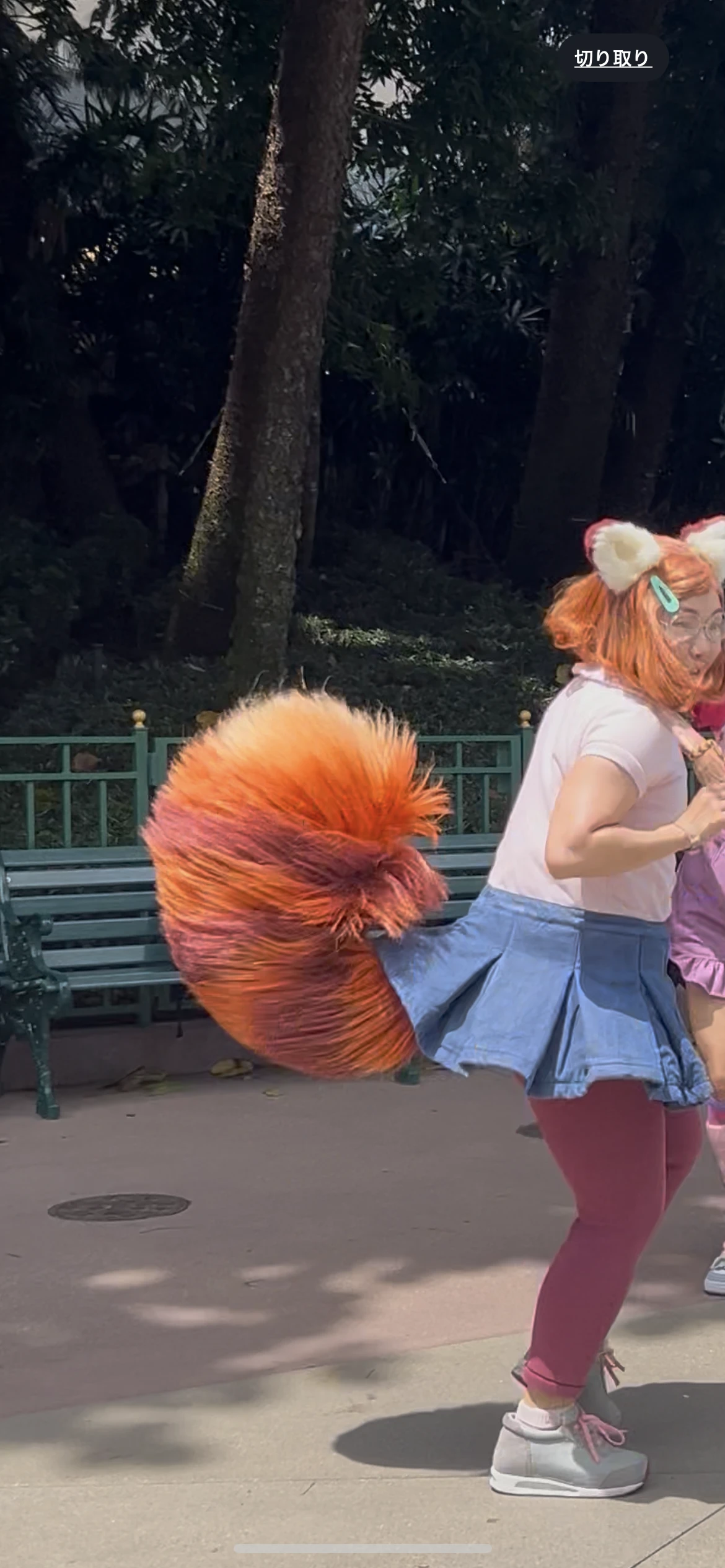 私ときどきレッサーパンダ/尻尾 補足画像 1