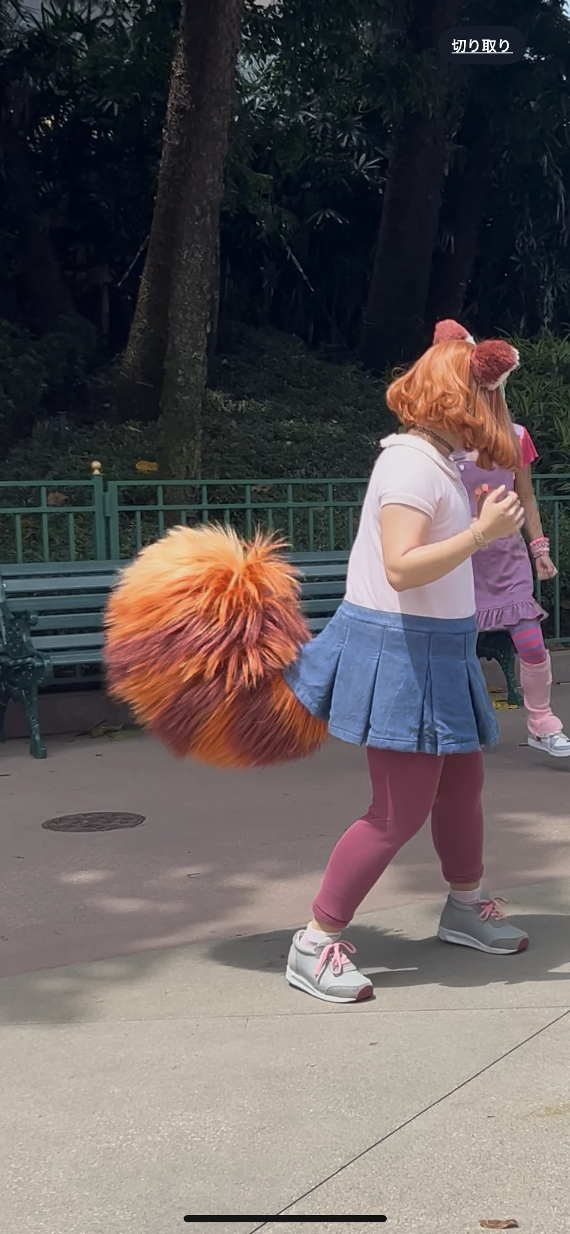 私ときどきレッサーパンダ/尻尾 補足画像 2