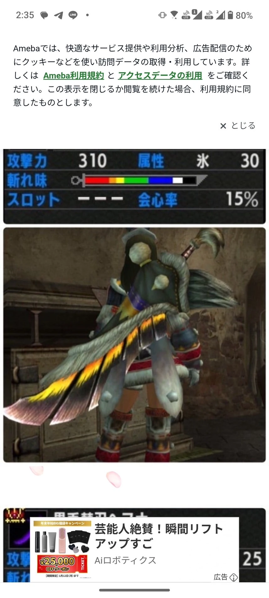 MONSTERHUNTER 大雪主･ウルクスス装備 補足画像 3