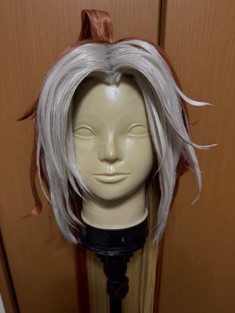 わん。 portfolio 10